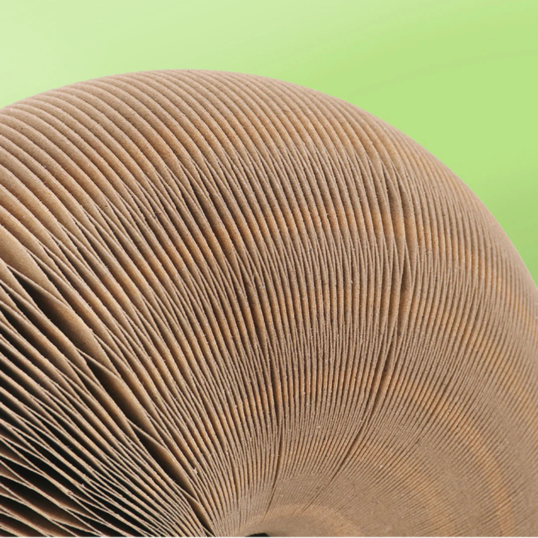 Aploix OrbitScrape™ | 2-in-1 Mental Stimulation Scratcher