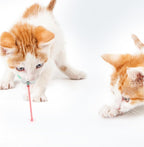 Aploix LaserFocus™ | Hands-Free Interactive Cat Collar