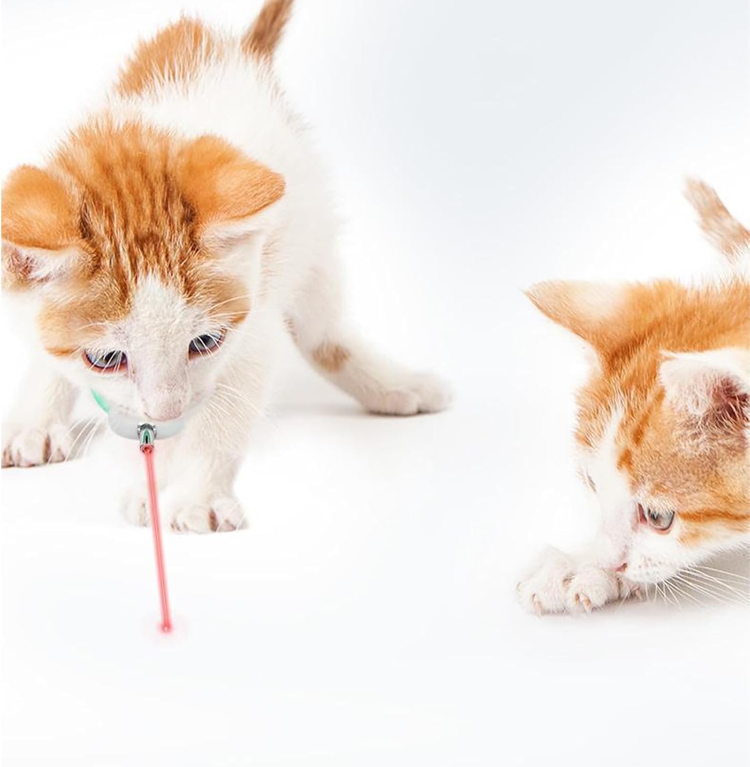 Aploix LaserFocus™ | Hands-Free Interactive Cat Collar