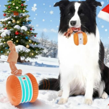 Smart Interactive Rechargeable Dog Ball