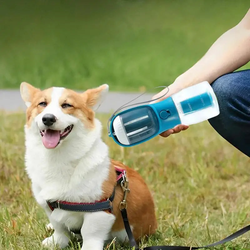 3 in 1  Dog Water Bottle