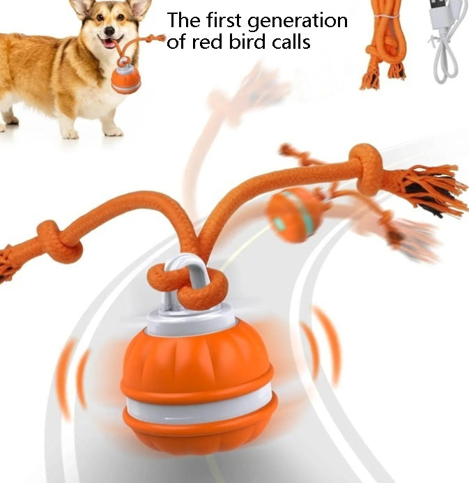 Smart Interactive Rechargeable Dog Ball